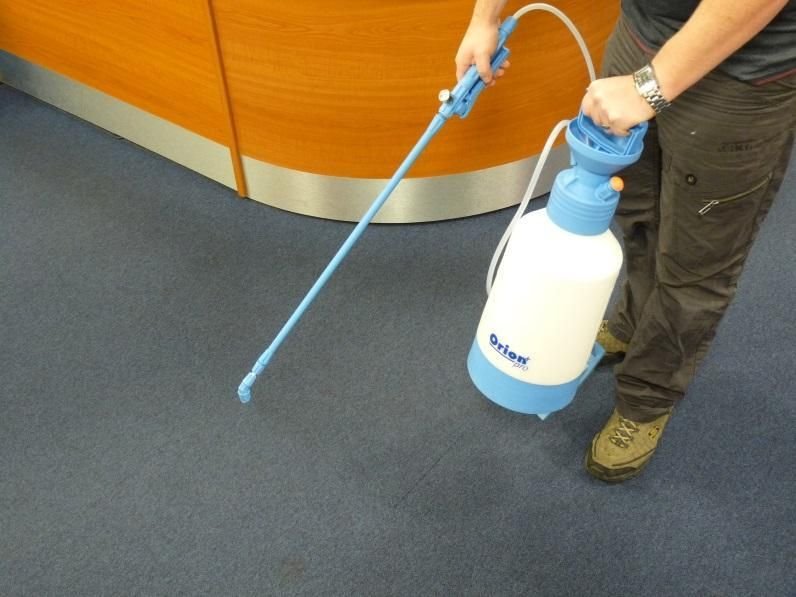 Pre-spraying the carpet on this commercial cleaning task in Commercial carpet cleaning Collington- Bexhill