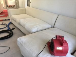 local sofa and upholstery cleaning service Eastbourne