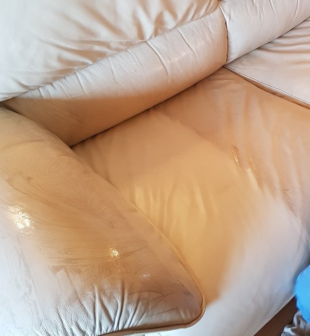 Leather upholstery protector - Protect your leather sofa